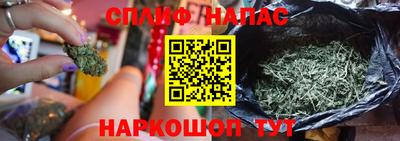 ешки Сланцы