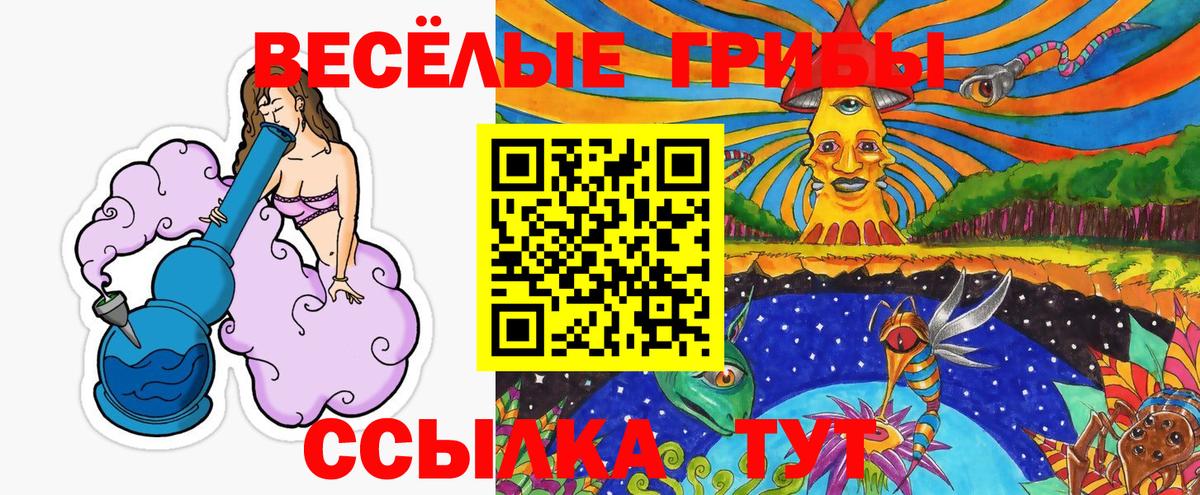 Камень-на-Оби  Псилоцибиновые грибы мицелий  Вход с VPN  Псилоцибиновые грибы Psilocybe 